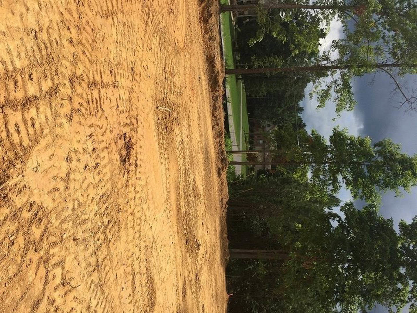 Dirt field with tire tracks bordered by mature trees under a clear sky
