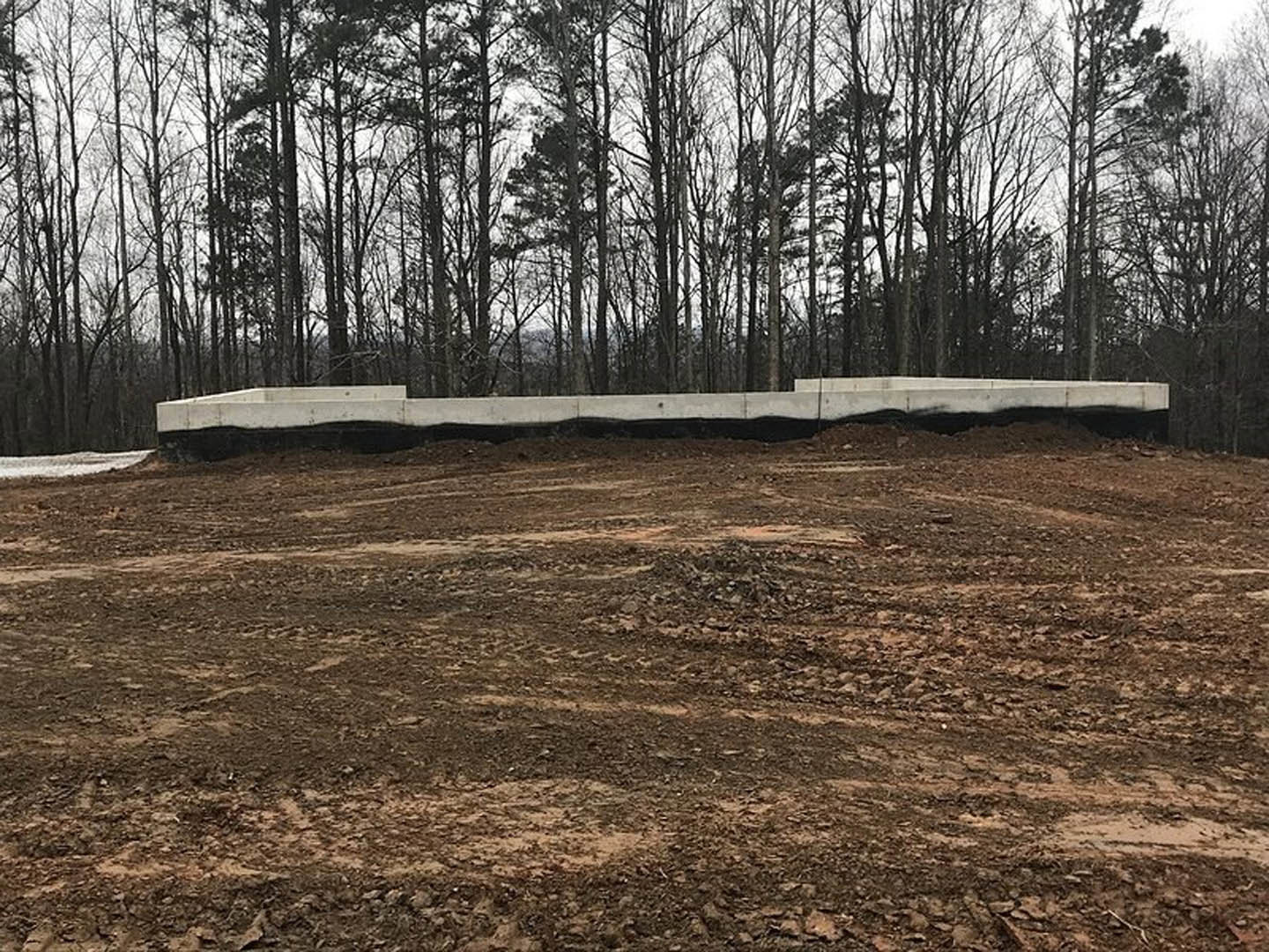 Dirt field bordered by a white wall, with several leafless trees and sparse grass under a pale winter sky