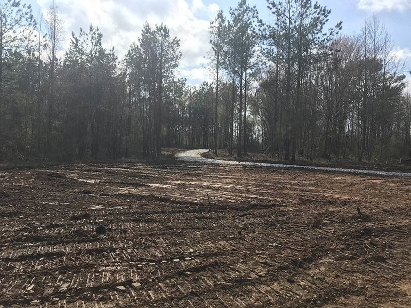 Dirt field with tire tracks, white boundary line, cluster of trees in the background, blue sky with scattered clouds