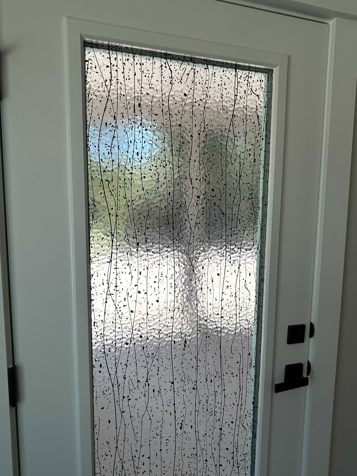White interior door with a large glass panel, black metal handle, and subtle black spots visible on the glass.