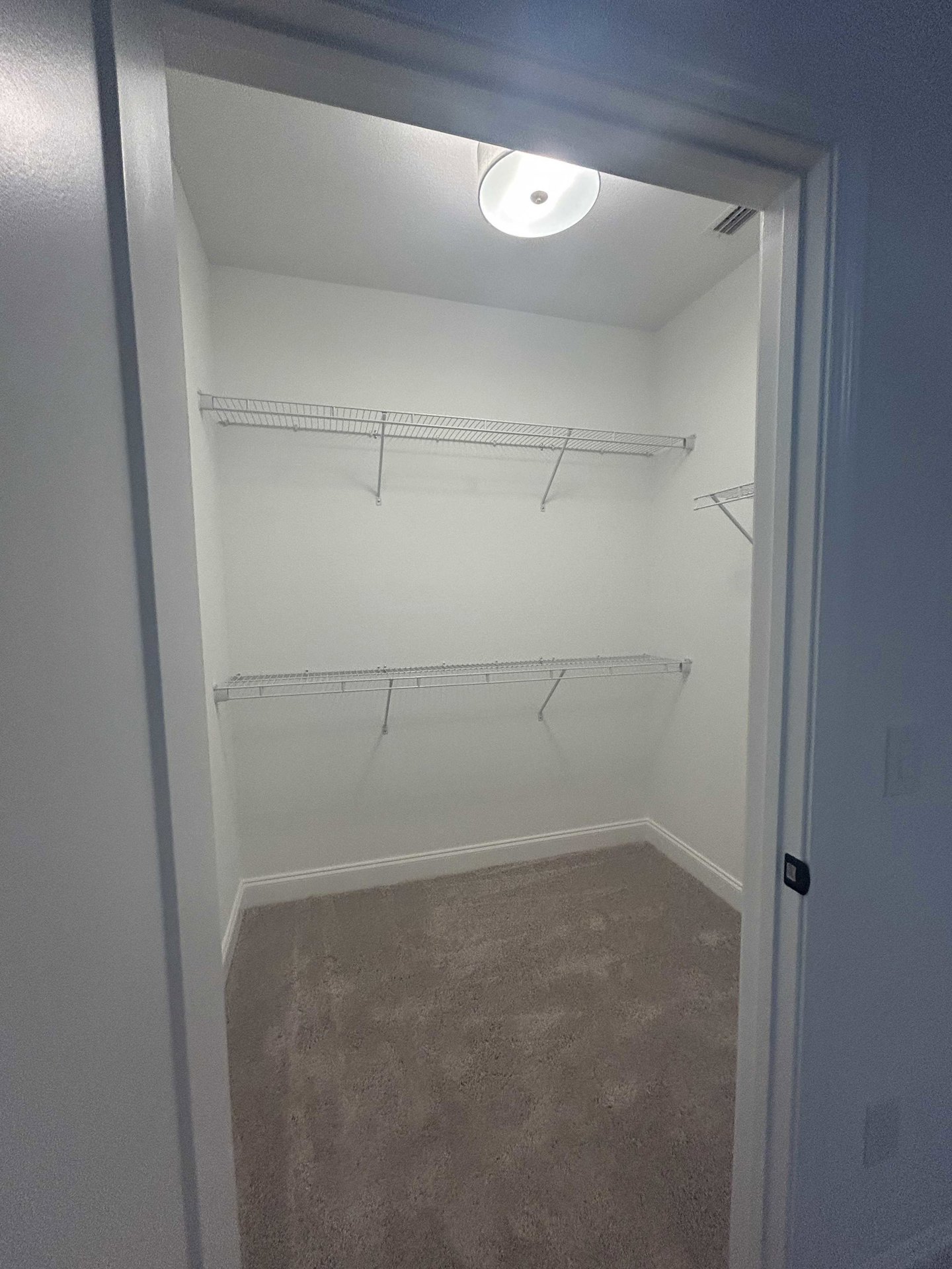 Walk-in closet with white metal shelving, beige carpet flooring, and neutral painted walls