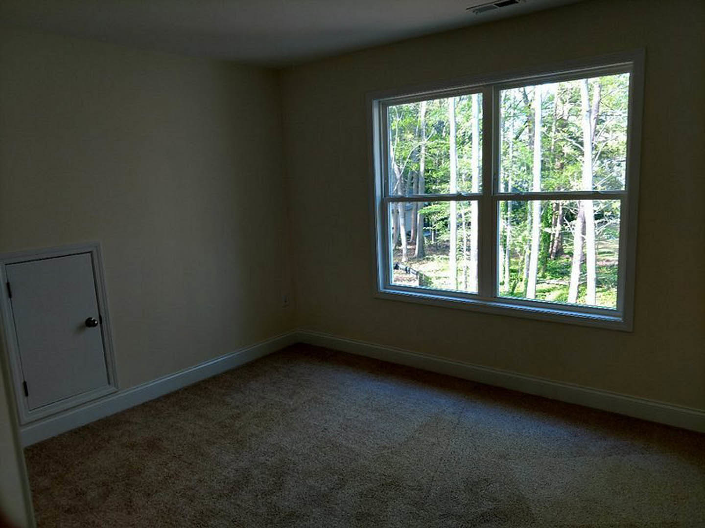 Sunlit room with large window overlooking green trees, soft grey carpet flooring, and smooth grey walls