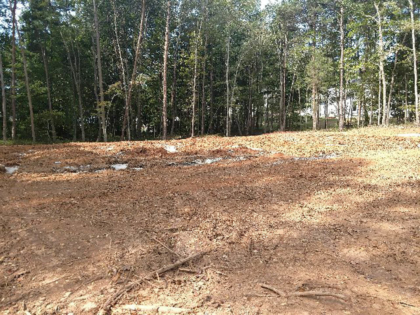 Dirt field bordered by trees, with Bear Brook State Park woodland visible in the background under a clear sky