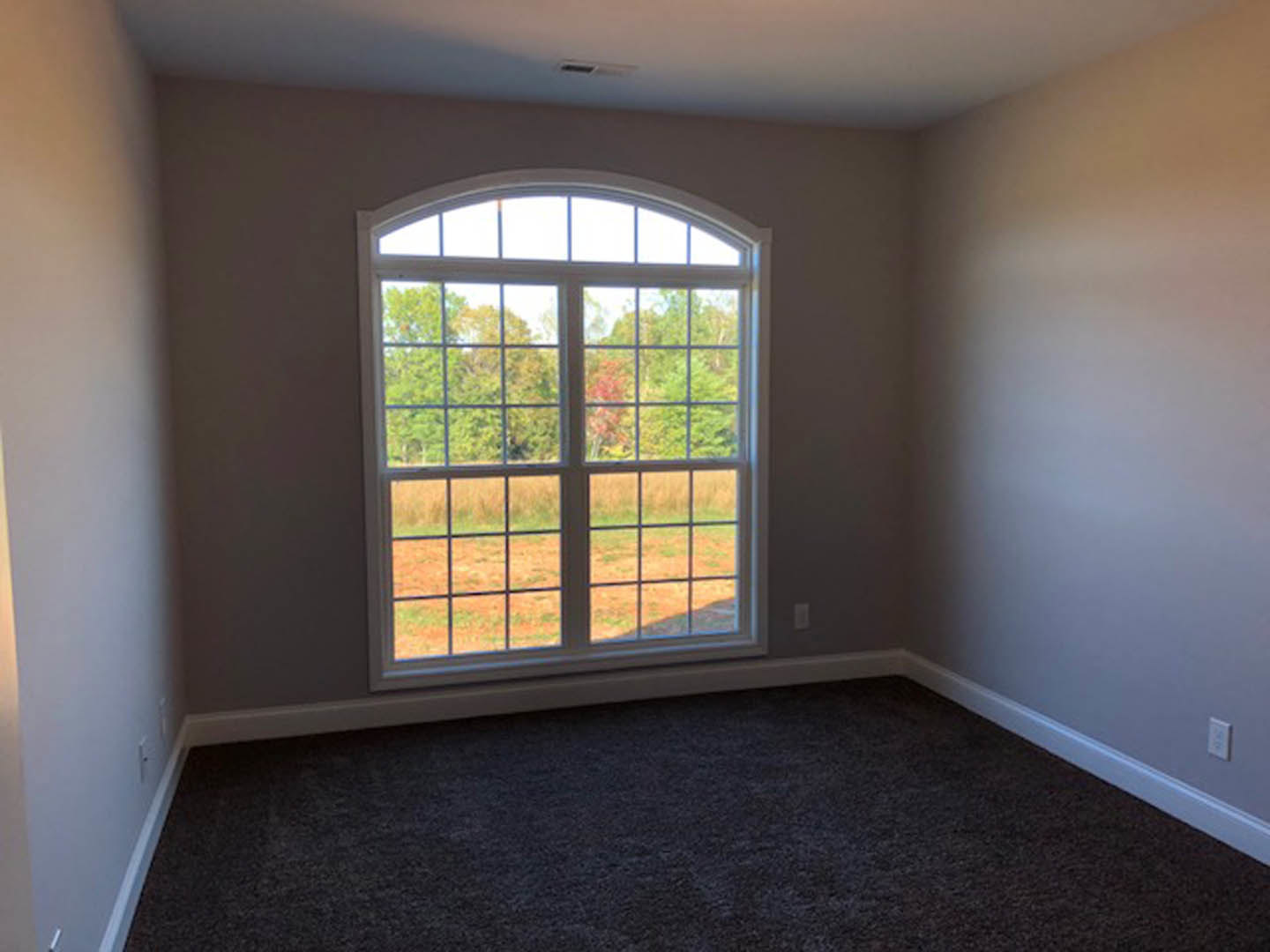 Large window with black frame overlooking leafy trees, sunlight streaming onto beige carpeted floor in a neutral-toned room
