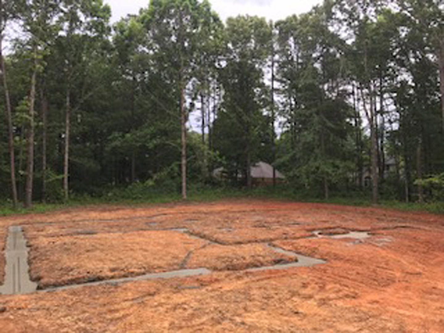Dirt field bordered by green-leaved trees, open sky above, forested background