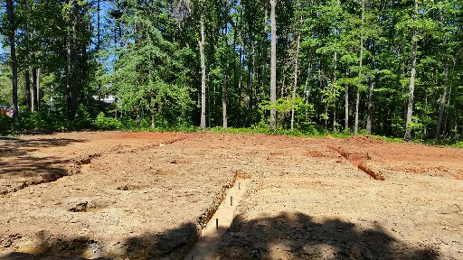 Dirt field bordered by a grove of trees, soil surface with a shadow cast by a person, dirt road visible, natural woodland environment