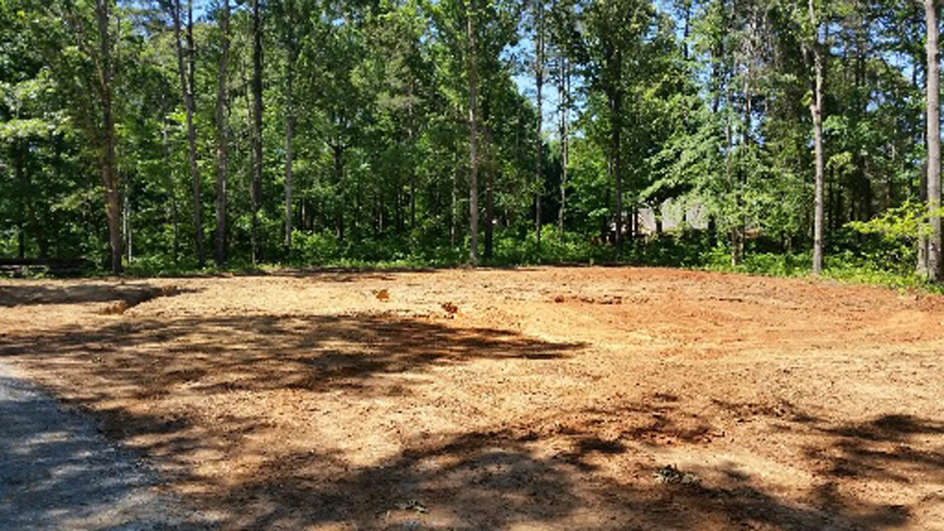 Dirt field bordered by tall trees under open sky, patches of grass and shadows across soil