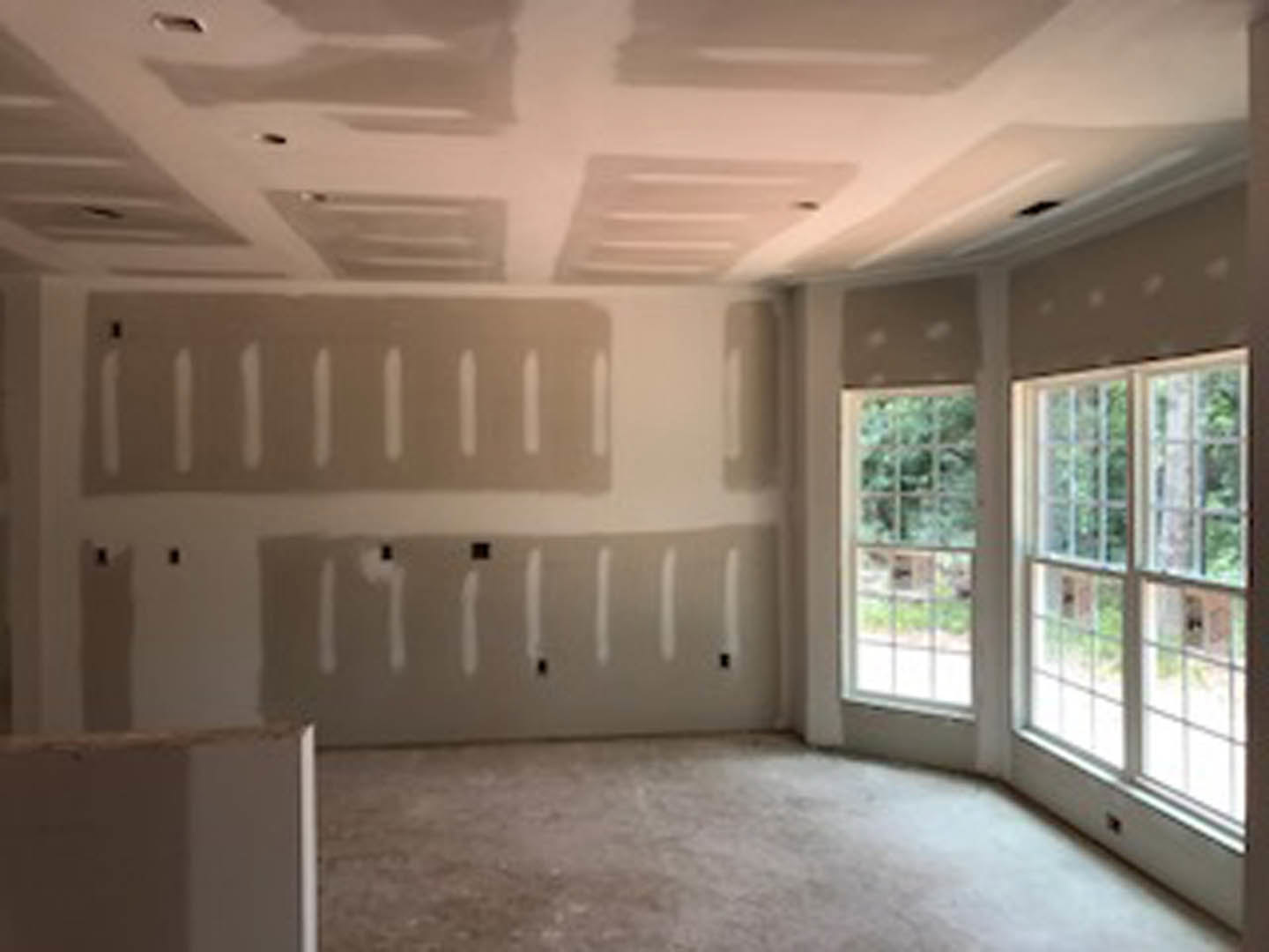 Bright room with plaster walls, multi-pane window overlooking trees, white baseboard trim, and light wood flooring