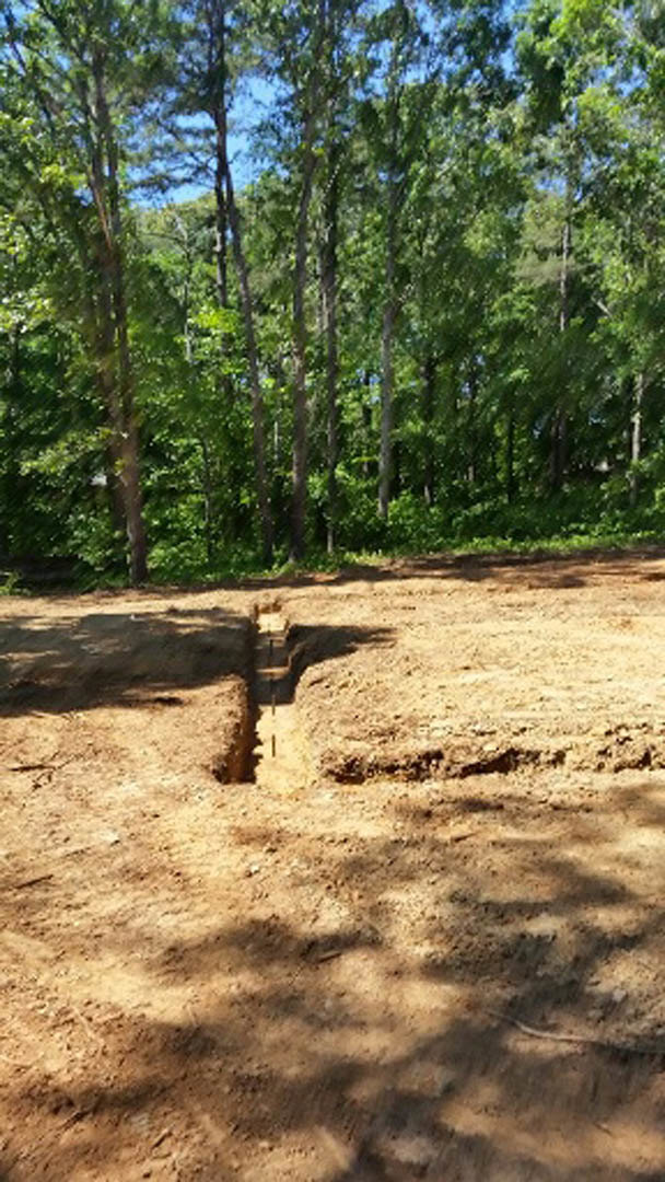 Excavated dirt trench surrounded by dense woodland, exposed soil and tree trunks visible in natural outdoor setting