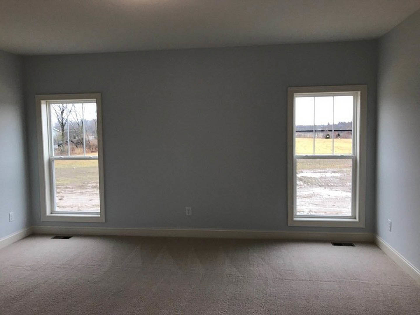 Bright room with two large windows, plaster walls, light wood flooring, and views of a green field and leafy tree outside