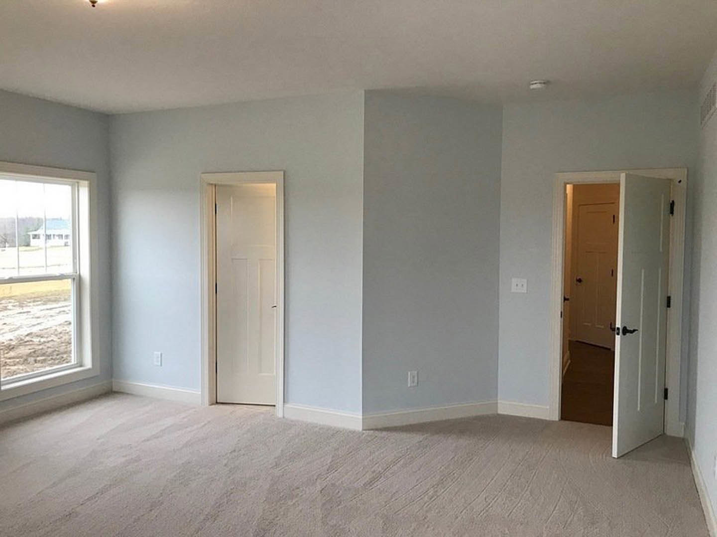 Neutral-toned room with plush carpet, two white paneled doors featuring black handles, and a window overlooking neighboring house