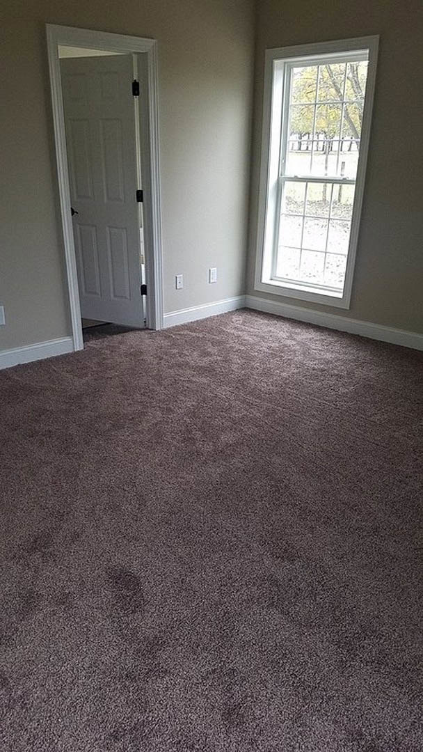 Carpeted bedroom with white door featuring black trim, large window overlooking trees, neutral walls, and laminate flooring visible near entry.