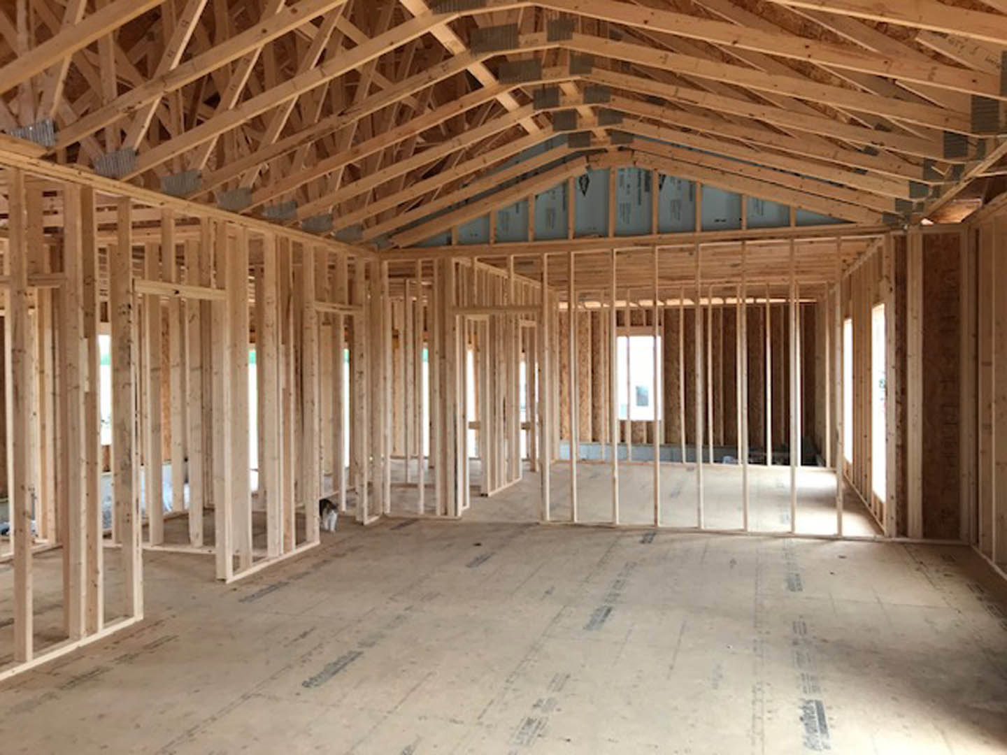 Living room with exposed wood ceiling beams, blue accent wall, hardwood flooring, and a cat sitting near the center.