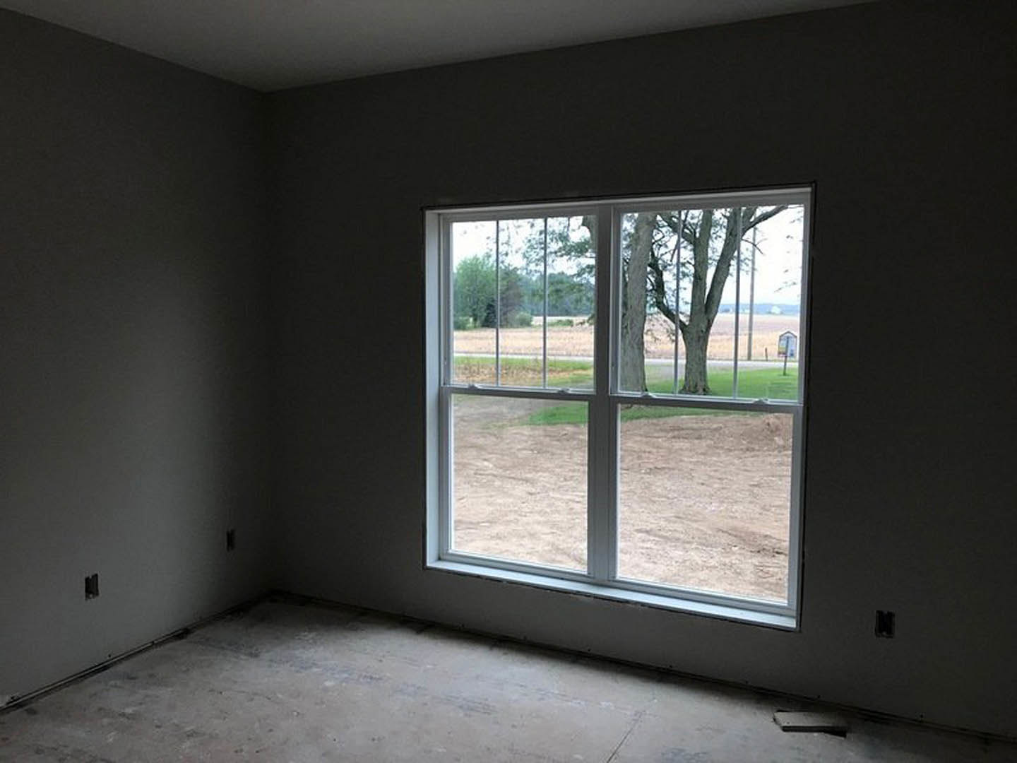 Sunlit room with large window, concrete floor, white walls, and leafy tree visible outside