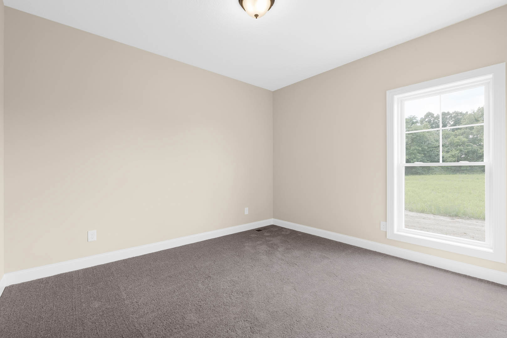 Bright room with large window overlooking trees, soft beige carpet flooring, white plaster walls, ceiling light fixture, and simple crown molding.