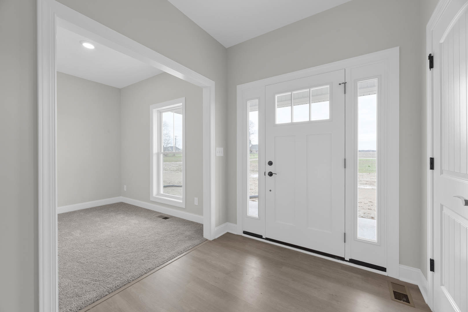 White door with glass windows, wood flooring, carpeted area, ceiling vent, window showing neighboring house, white walls, and molding.