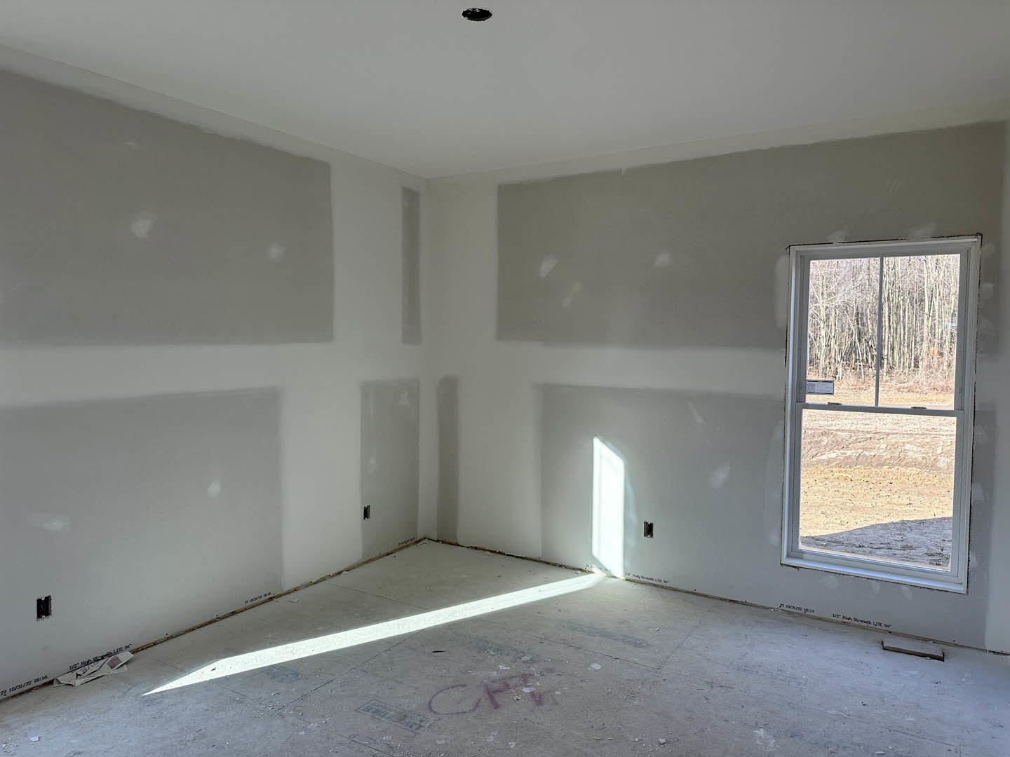 Bright room with smooth plaster walls, large window framing forest view, white ceiling, wood flooring, and modern door