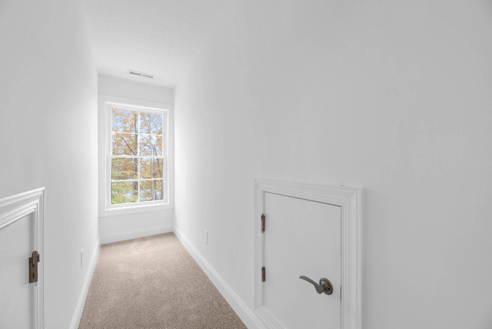 Hallway with white plaster walls, carpeted floor, white door with silver handle and brown hinge, window overlooking trees