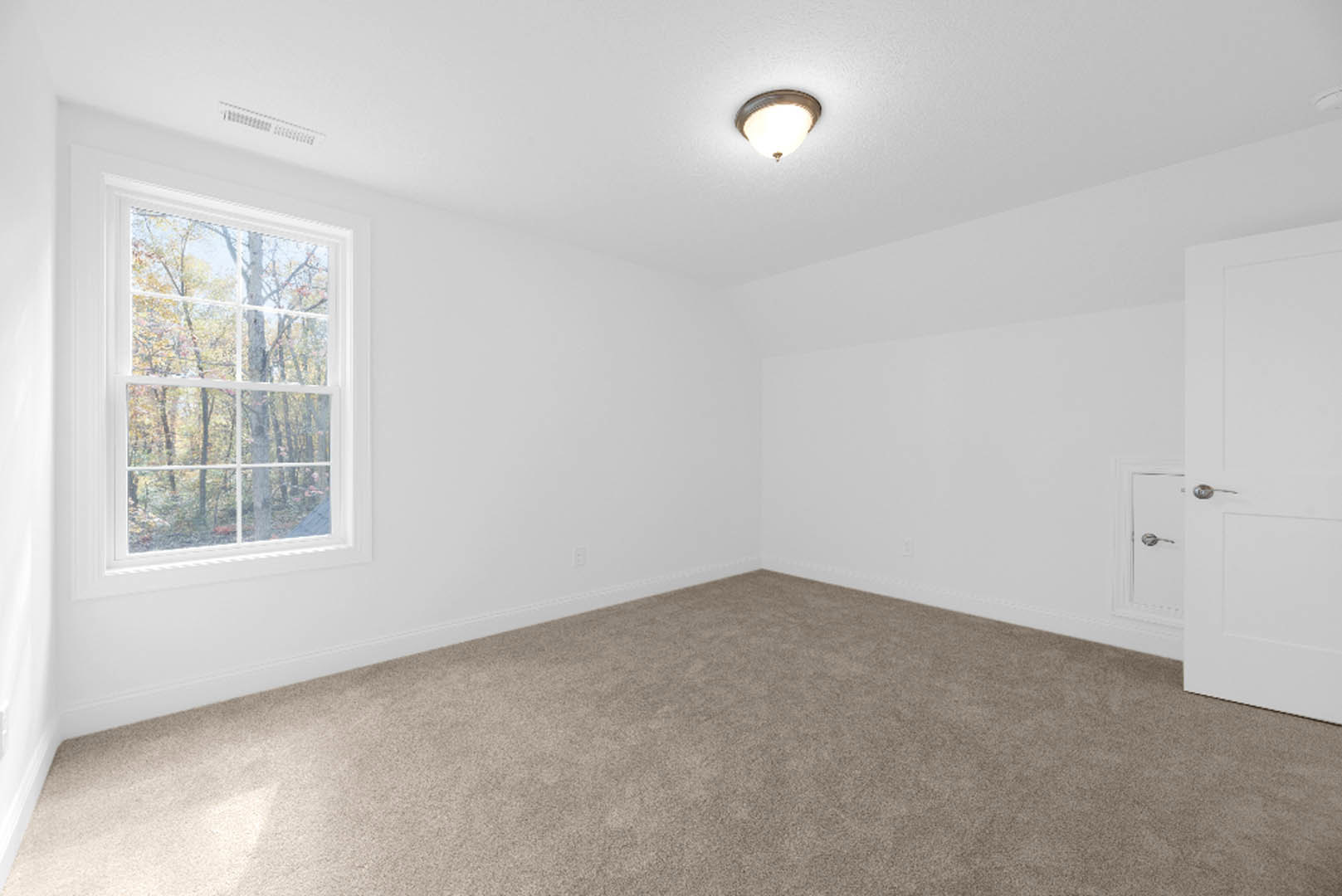 Carpeted room with white walls, large window overlooking trees, ceiling light fixture, white door, and metal bar.
