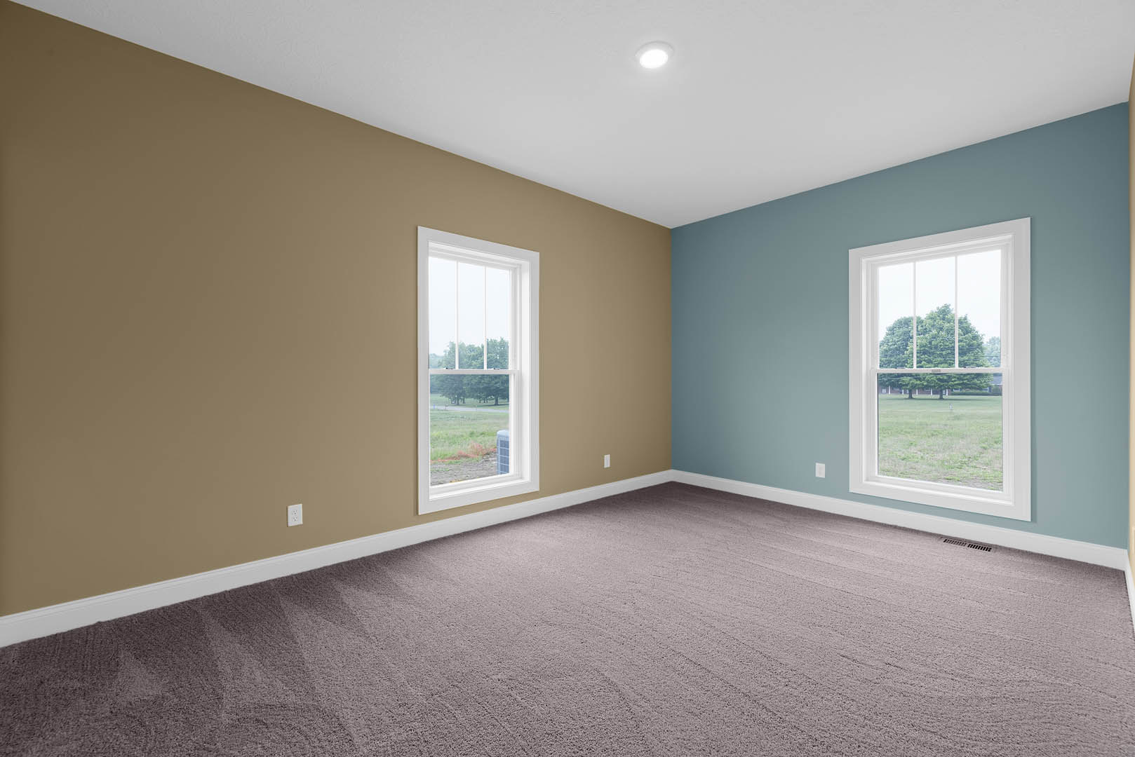 Carpeted room with two windows, white plaster walls, ceiling light fixture, and views of green lawn and trees outside