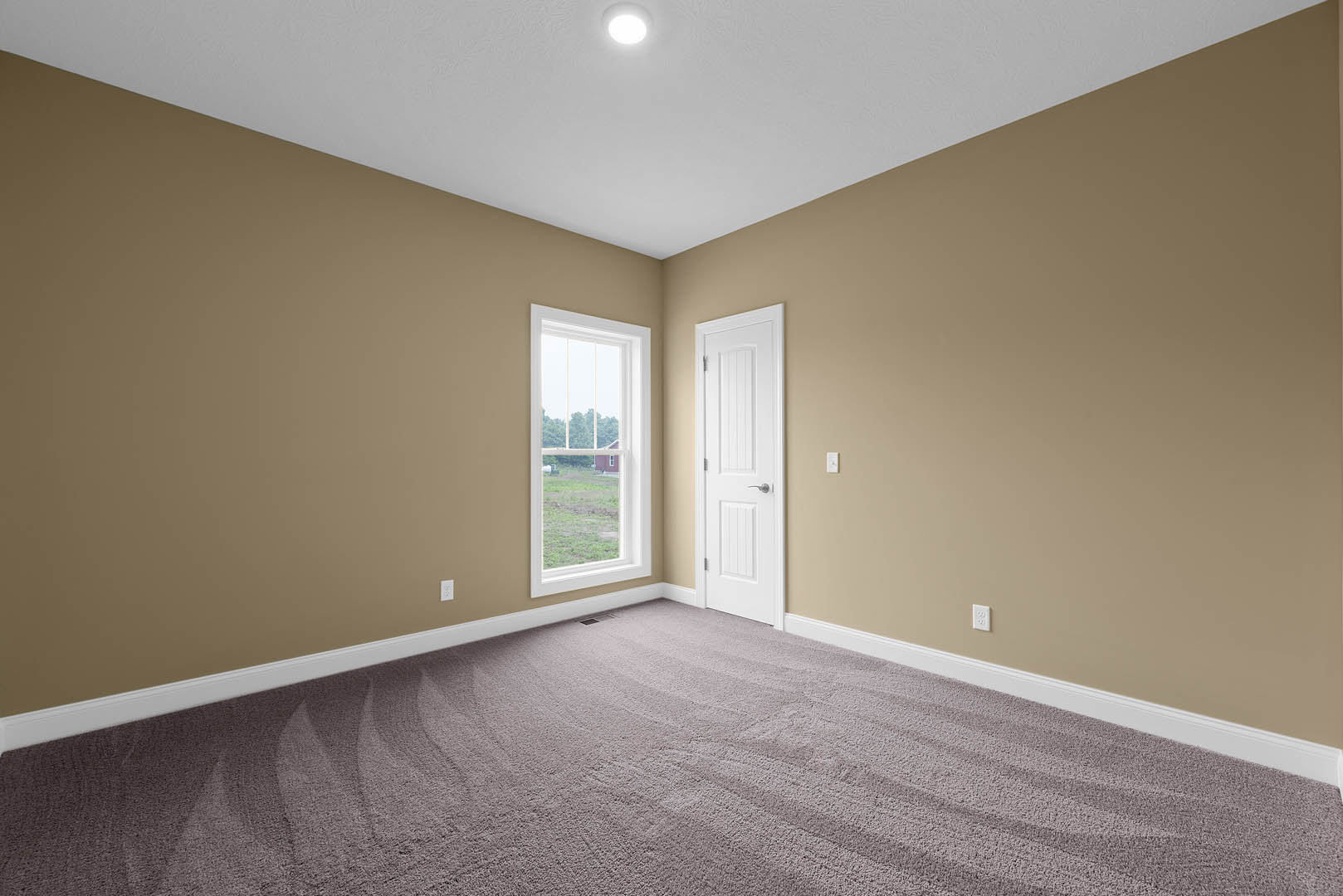 White-walled room with plush beige carpet, white door featuring a silver handle, ceiling light fixture, and window overlooking farmland.