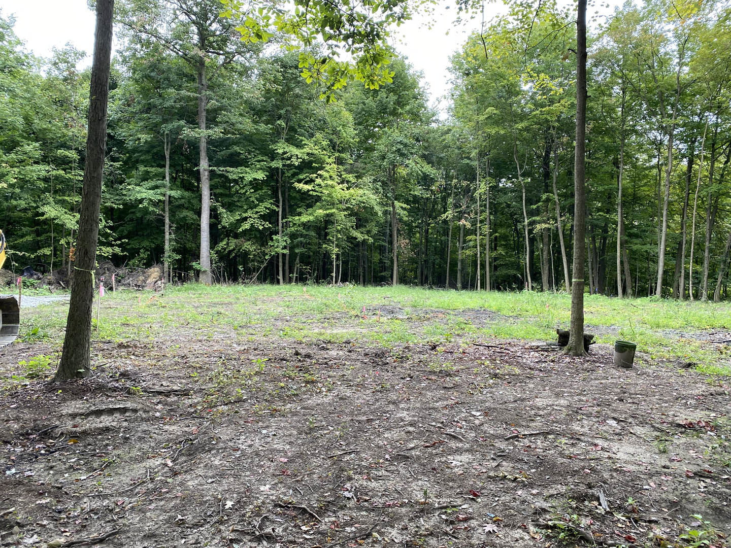 Dirt field bordered by deciduous trees, green bucket on soil, close-up of tree trunk and leafy branches, window visible in foreground