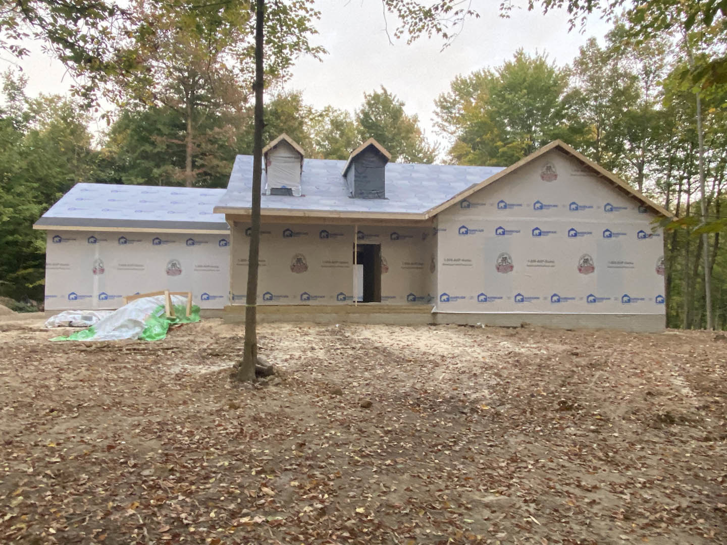 Framed house under construction with exposed plywood walls, surrounded by leafy ground and tall trees in the background