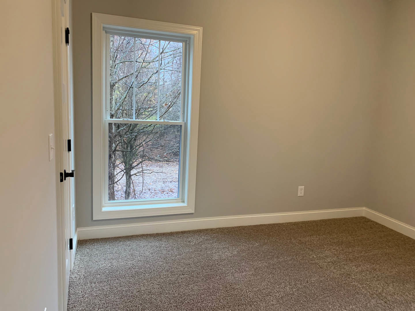 Carpeted room with white walls, large window overlooking green trees, natural light highlighting laminate flooring and plaster finishes