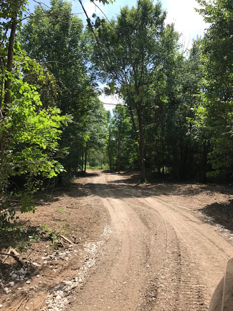 Dirt road with tire tracks winding through a forested area, trees lining the background, soil and natural vegetation visible along the trail
