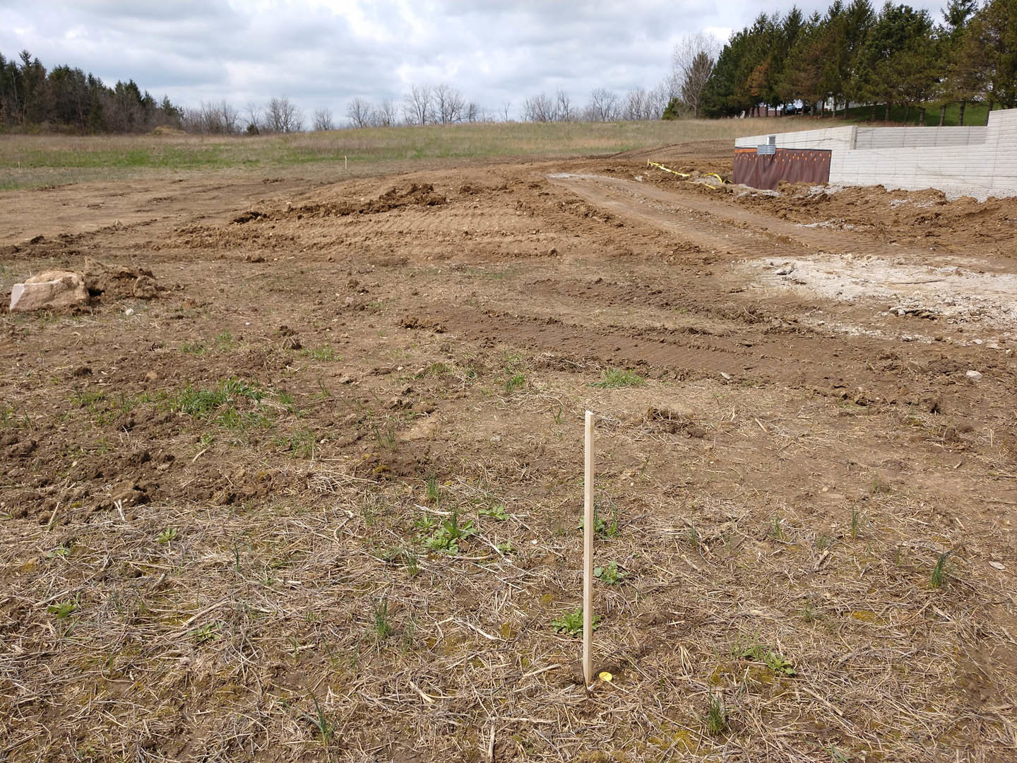 Dirt field with sparse grass, single stick protruding from soil, cloudy sky above trees in background