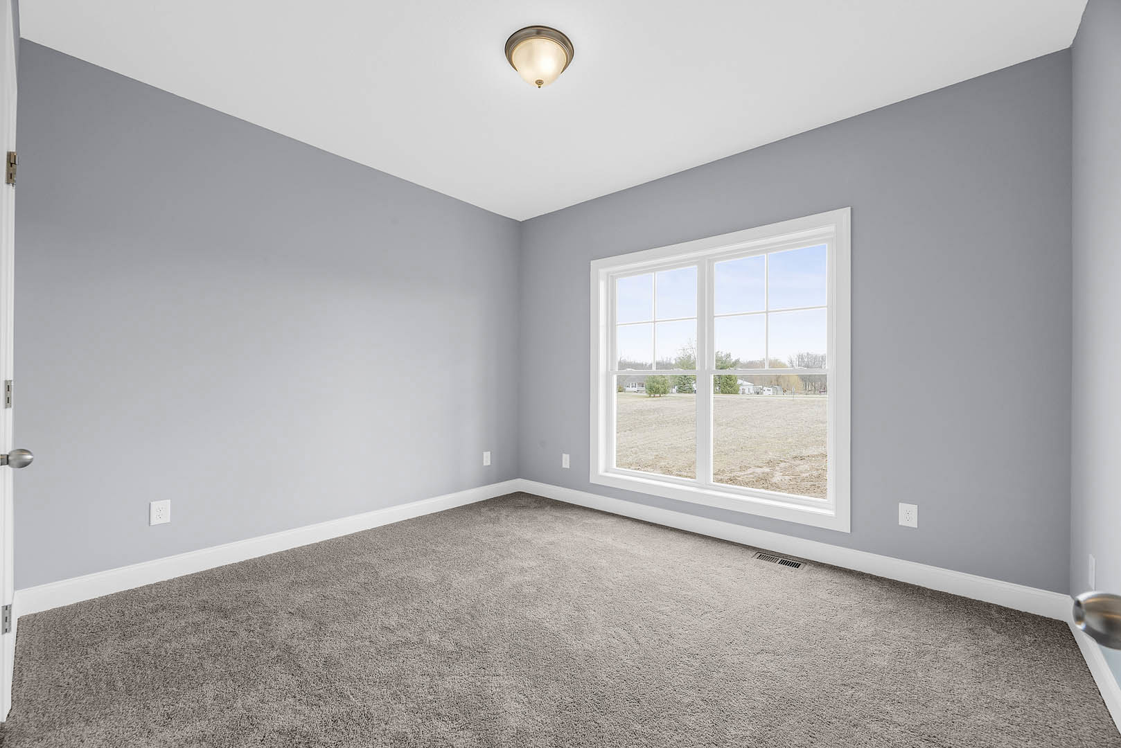Bedroom with beige carpet, white walls, large window overlooking grassy field, ceiling-mounted light fixture, white baseboards, and wooden door.