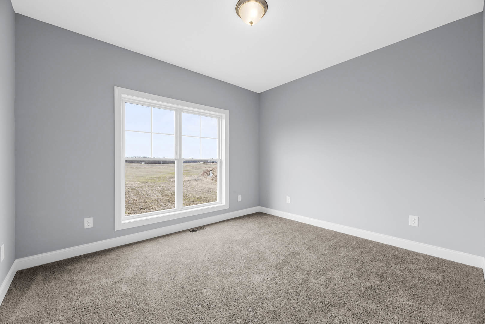 Carpeted room with white walls, large window overlooking grassy field, ceiling-mounted light fixture, and simple baseboard molding
