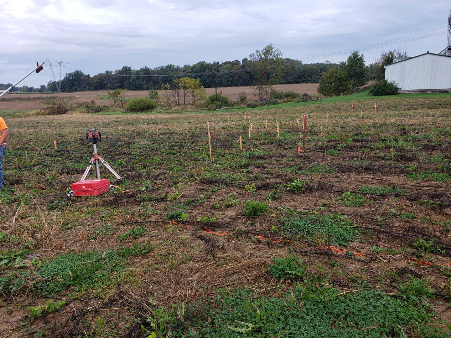 White farmhouse with green metal roof set in grassy field, red and black toolbox near entrance, scattered small plants and bushes, cloudy sky overhead