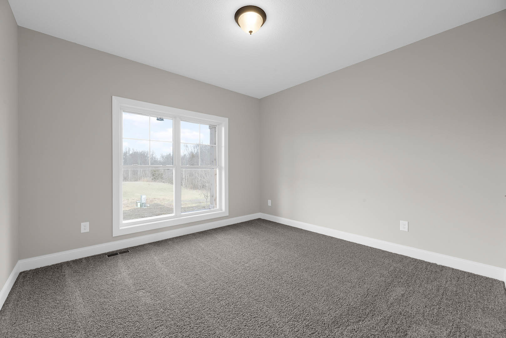 Sunlit room with white walls, large window overlooking grassy field, grey carpet flooring, ceiling-mounted light fixture, and simple crown molding.