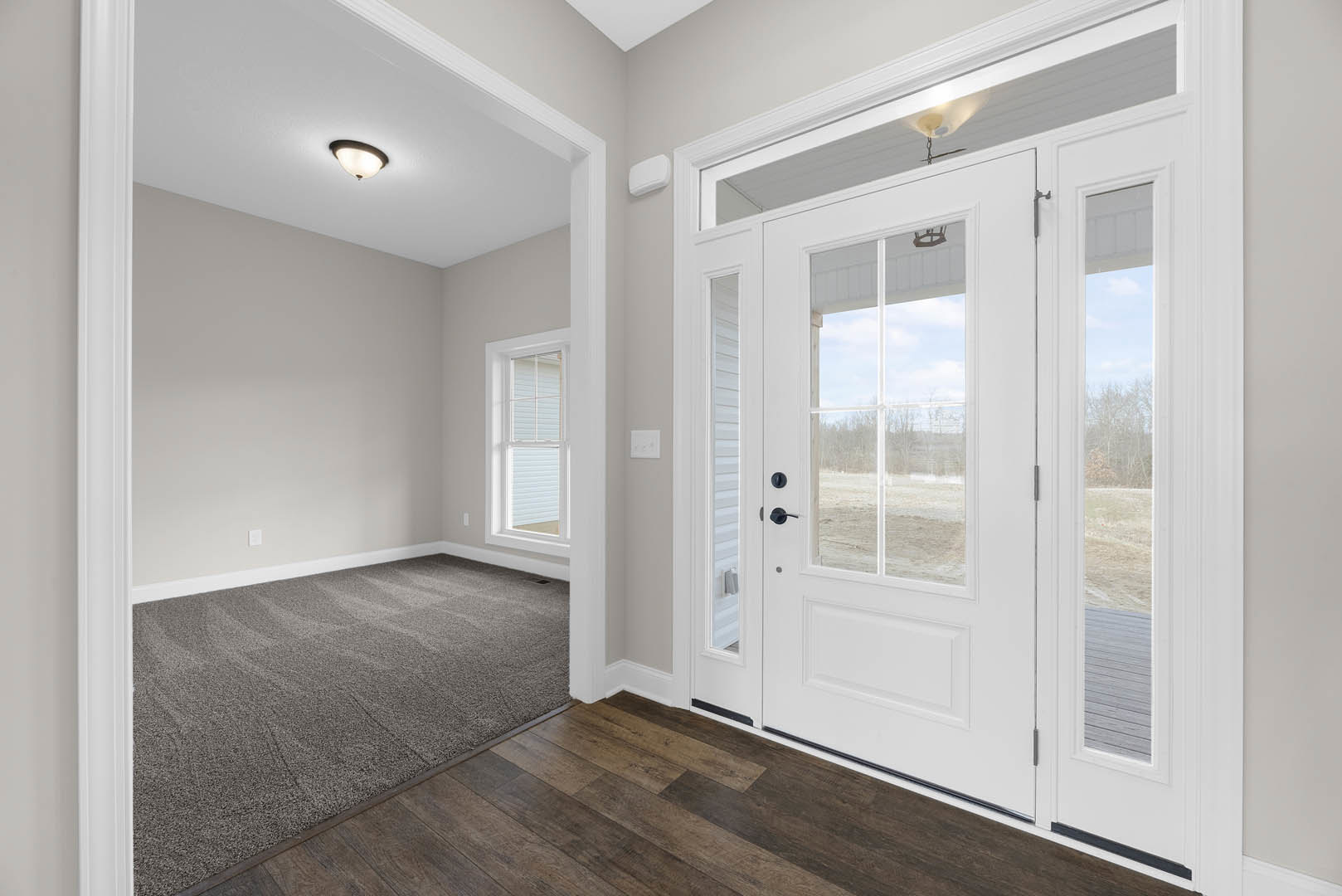 White paneled door with glass panes next to a carpeted floor, light fixture on ceiling, and plaster walls with molding.