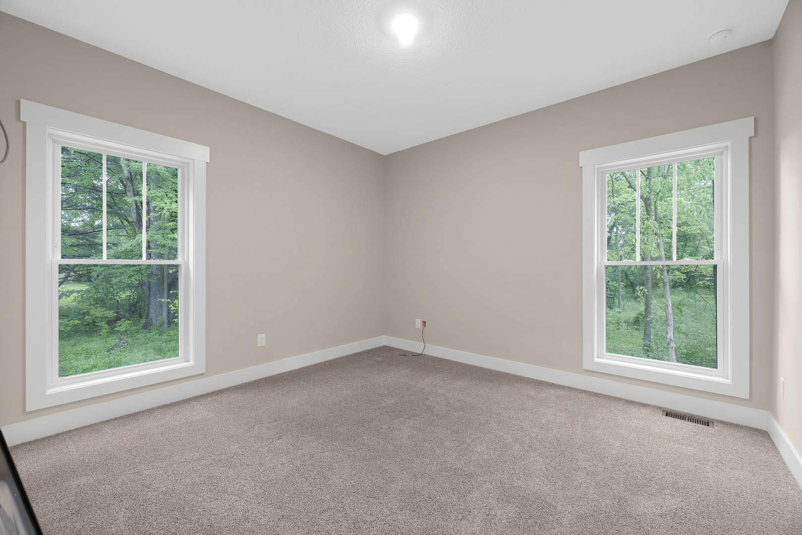 Carpeted room with large windows, white walls, and daylight filtering in; trees visible outside through glass panes