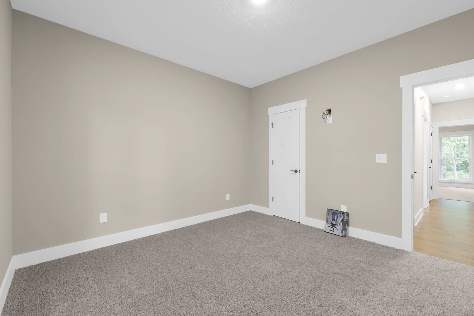 Carpeted room with white paneled door, silver handle, window showing green trees, small box on floor, and adjacent wood laminate flooring.