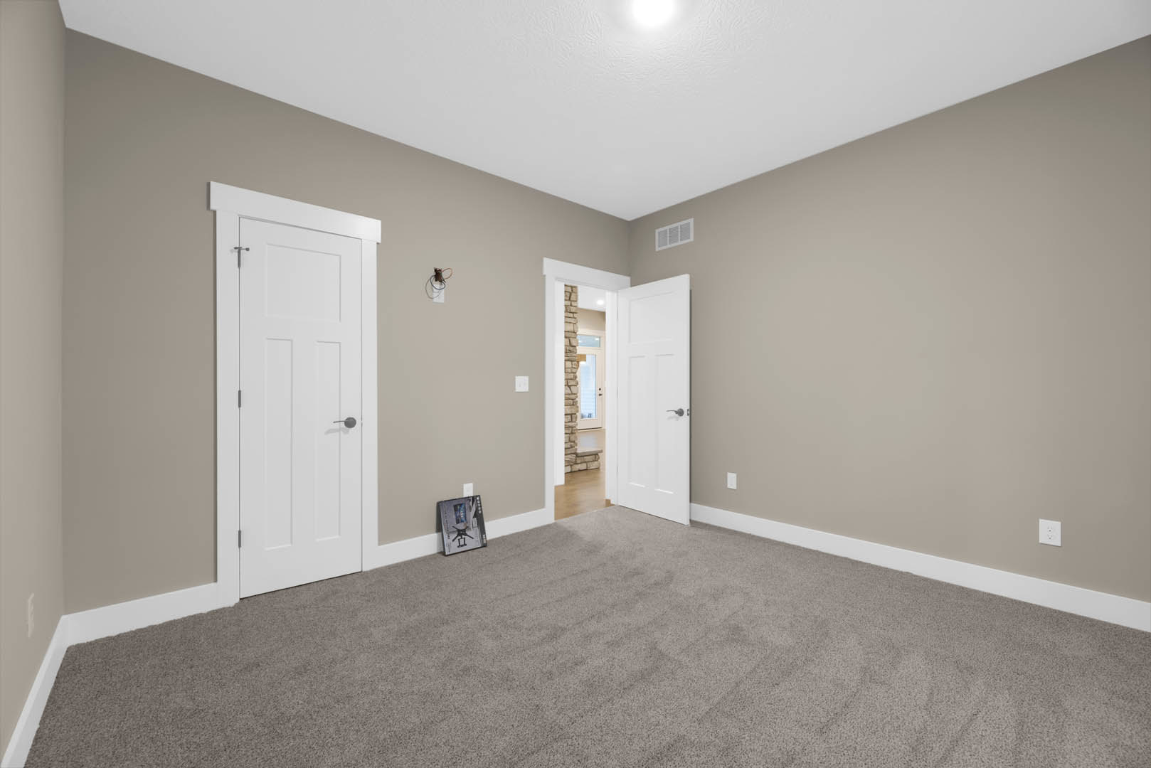 Carpeted room with two white doors featuring silver handles, white wall vent, framed artwork, and neutral walls.
