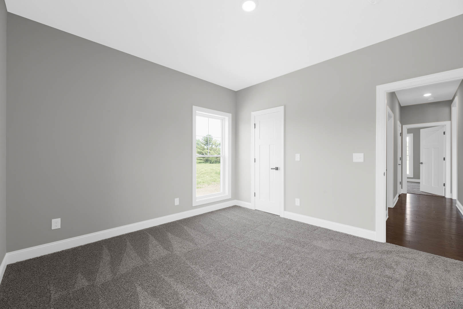 Room with grey carpet, dark wood flooring, two white doors with handles, window showing trees outside, white walls, ceiling light fixture