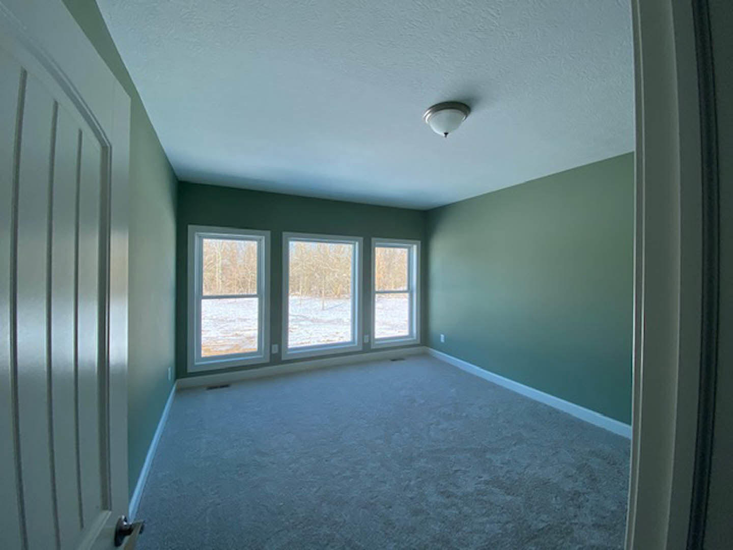 Carpeted room with green walls, white ceiling, row of windows overlooking trees and a snowy field, close-up of a modern light fixture