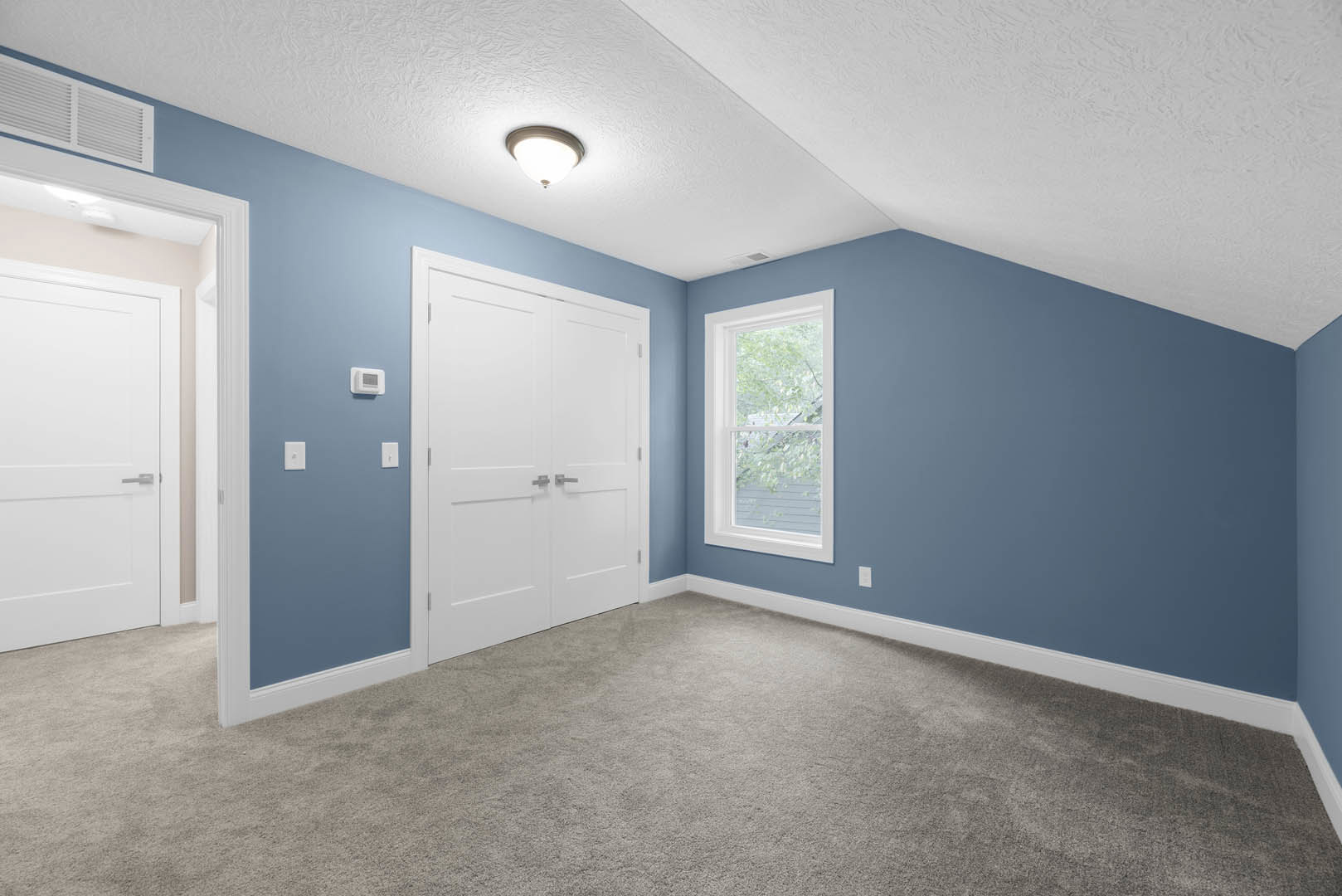 Blue walls, white double doors with silver handles, white-framed window, ceiling light fixture, carpeted floor