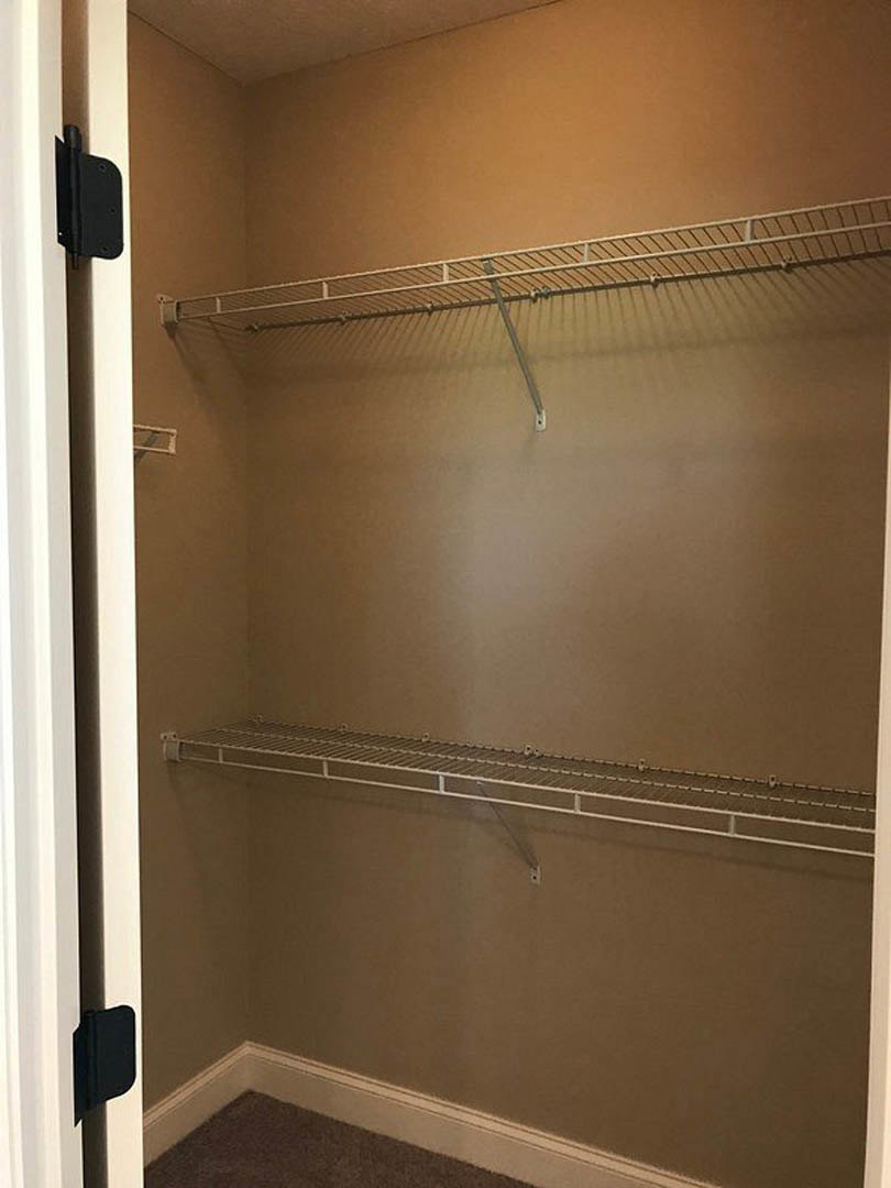 Open closet door revealing built-in white shelves, metal ladder mounted on wall, carpeted floor with white baseboard, plaster walls, and ceiling.