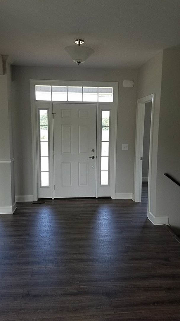Dark wood laminate flooring, white paneled door with silver handle and glass inserts, white plaster walls, ceiling-mounted light fixture, window with white trim