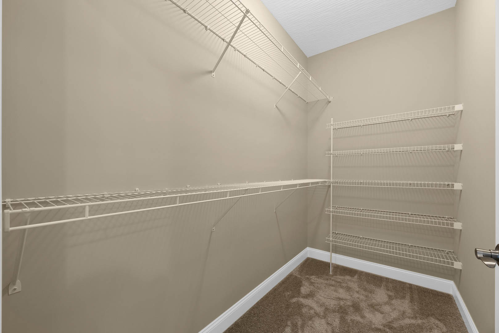 Carpeted floor with white metal shelves mounted on a plaster wall, indoor bathroom space with ceiling and shower visible.
