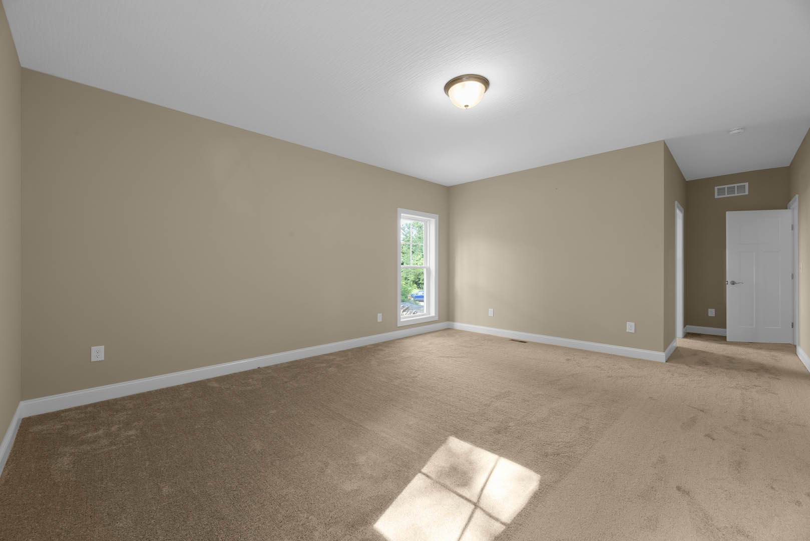 Neutral-toned carpeted room with white walls, large window showing green trees, white door with silver handle, ceiling light fixture, and simple molding.