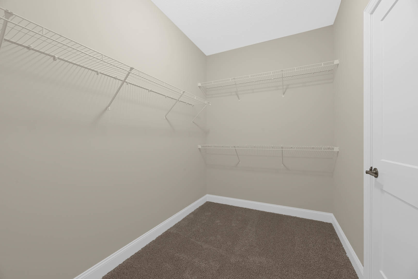Empty walk-in closet with white built-in shelves, white walls, and light carpet flooring