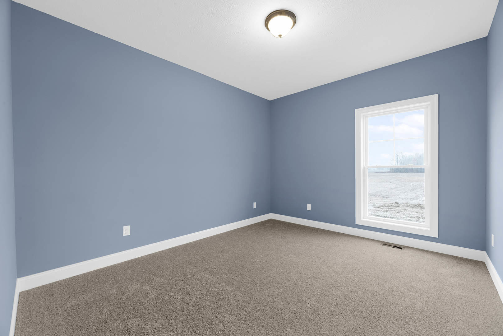 Carpeted room with white walls, large window overlooking snowy field, ceiling light fixture, and simple molding along floor and ceiling.