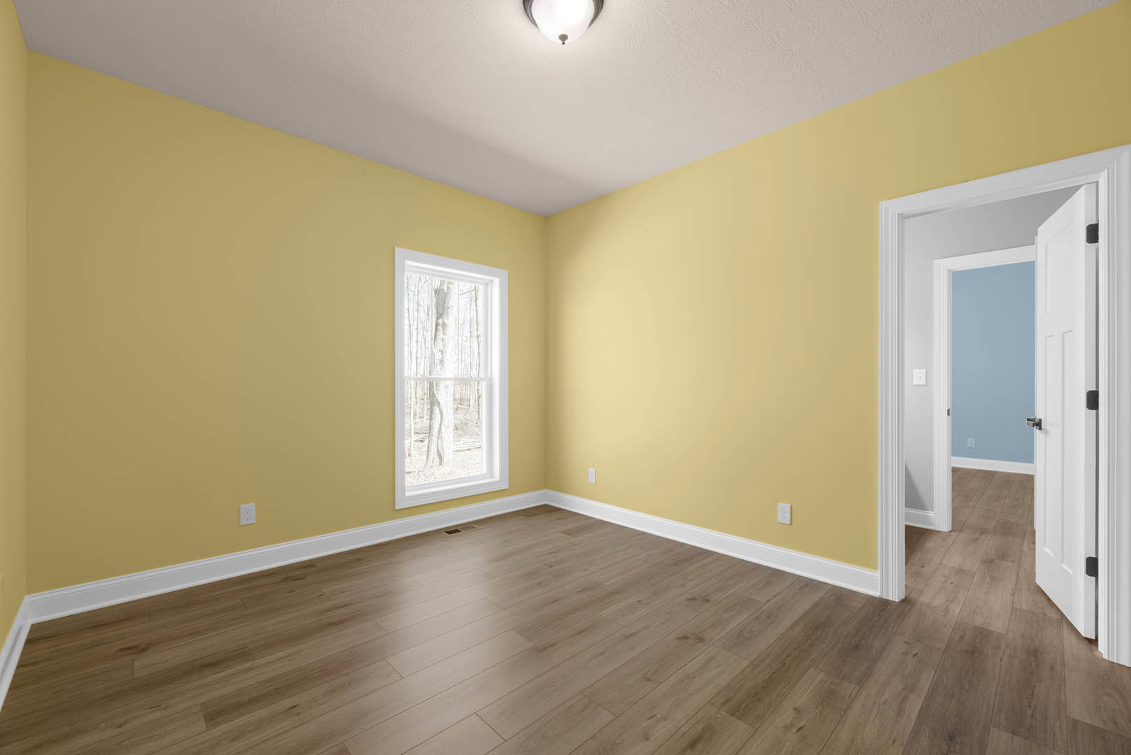 Yellow painted walls and hardwood flooring in a residential room, open door leading to adjacent space, window framing view of tree trunk, close-up of ceiling light fixture and door