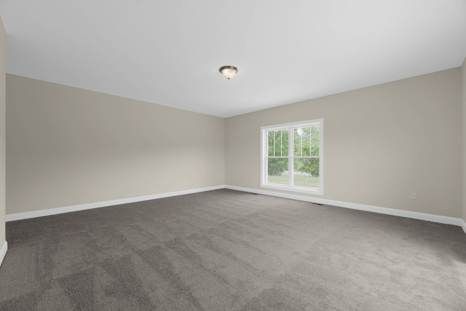 Carpeted room with white-framed window overlooking trees, light fixture with shade mounted on plaster ceiling, neutral walls and baseboards