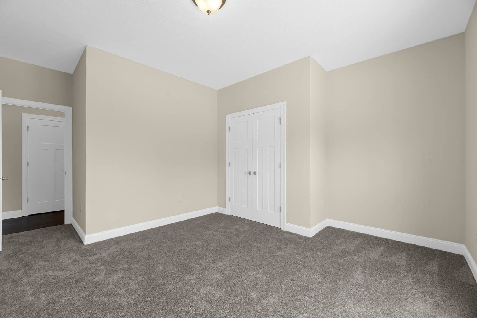 Carpeted room with white walls, white door featuring silver handles, ceiling light fixture, and simple molding.